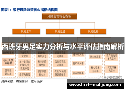 西班牙男足实力分析与水平评估指南解析 西班牙男足实力分析与水平评估指南解析