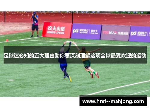 足球迷必知的五大理由助你更深刻理解这项全球最受欢迎的运动 足球迷必知的五大理由助你更深刻理解这项全球最受欢迎的运动