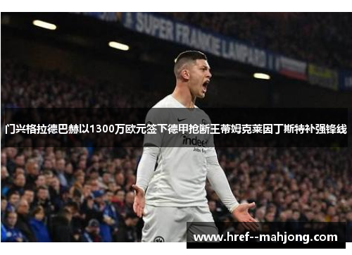 门兴格拉德巴赫以1300万欧元签下德甲抢断王蒂姆克莱因丁斯特补强锋线