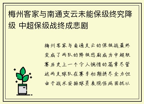 梅州客家与南通支云未能保级终究降级 中超保级战终成悲剧