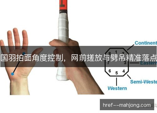 国羽拍面角度控制，网前搓放与劈吊精准落点